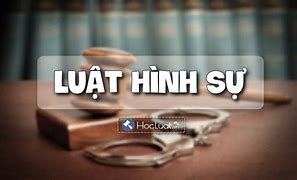 Bộ Luật Tố Tụng Hình Sự Quy Định Gì