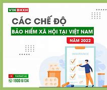 Chế Độ Chính Sách Bhxh