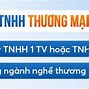 Cty Tnhh Xnk Thương Mại Và Dịch Vụ Tân Đại Dương Việt Nam