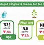 Kinh Tế 8 Tháng Đầu Năm 2022 Của Việt Nam