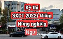 Kỳ Thi Xklđ Hàn Quốc 2022 Cần Những Gì Học Phí Bao Nhiêu Tiền