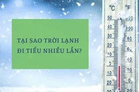 Tại Sao Uống Nước Ngọt Lại Đi Tiểu Nhiều