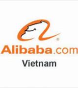 Tracodi Alibaba Việt Nam Tuyển Dụng 2024 Online Application Form