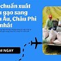 Xuất Khẩu Gạo Việt Nam Sang Châu Phi