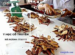 Y Học Cổ Truyền Thi Môn Nào